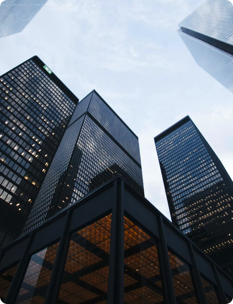 Berg Consulting - Apoio a Projectos de Investimento